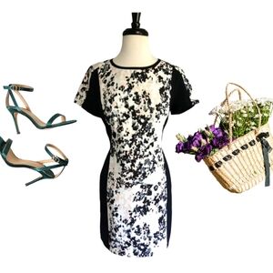 Women's Banana Republic Dress Size 4 Beautiful!